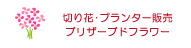 切り花・プランター販売・ブリザードフラワー